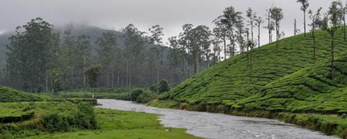 Valparai Villa | Puthuthottam Annexe