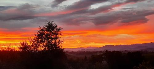 Saint-Gaudens Apartment | Pyrenees Vue - Vues Fantastique, Calme, Jardin, Piscine, Parking Gratuit Sur Place