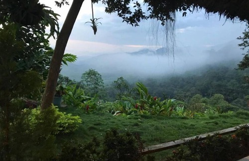Minca Hotel | Quadruple Room with Garden View