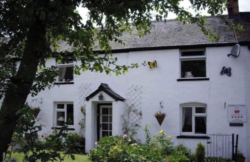Llanarmon Dyffryn-Ceiriog Cottage | Quaint cottage Tygwyn with all weather Hot Tub.