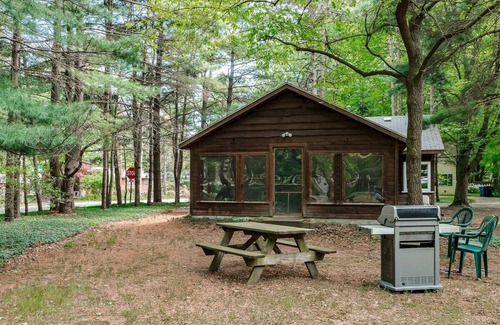 Douglas Cabin | Quaint Cabin Near Douglas Beach