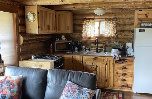 Coram Cabin | Quaint Log Cabin with River View. 7 miles to the entrance of West Glacier