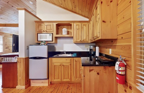 Northport Cabin | Quaint studio cabin near hiking trails with gym & pool table - dog-friendly