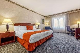Guadalupe Hotel | Quality Inn Monterrey La Fe