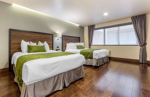 Chihuahua Hotel | Quality Inn San Francisco