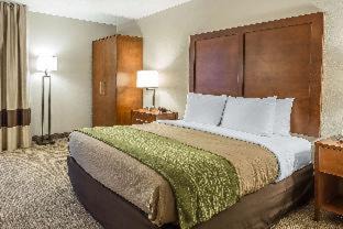 Summerville Hotel | Quality Inn Summerville-Charleston