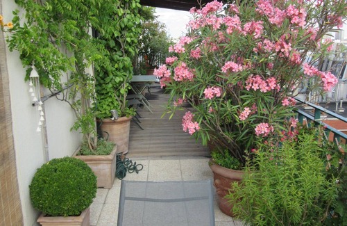 5th Arrondissement Apartment | Quartier Latin, beautiful apartment, superb views, quiet, large terrace