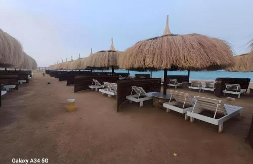 Al Ahyaa Resort | Queen T Fanadir Suites All Inclusive Resort
