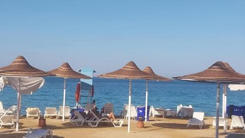 Al Ahyaa Resort | Queen T Juliana Beach Resort
