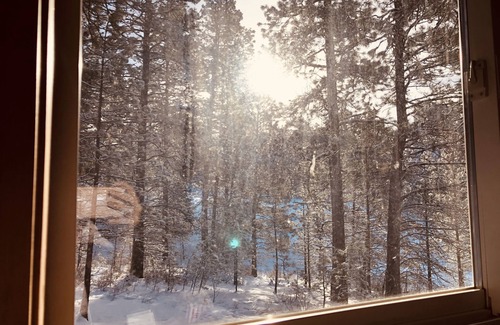 Cle Elum Cabin | Quiet 1 BR + loft cabin great for weekend getaways & stargazing. Pet Friendly!
