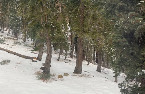 Twin Peaks House | Quiet 3-bedroom cabin in west Tahoe
