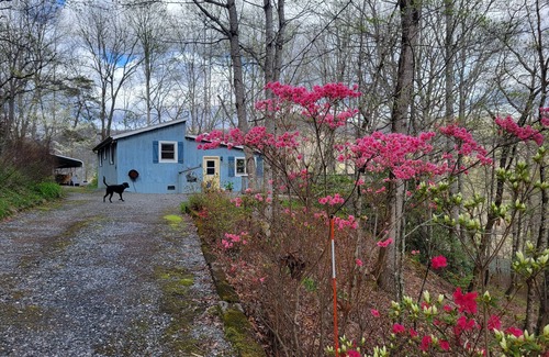 Tuckasegee Cabin | Quiet 3 bedroom cabin in the woods, amazing mountain and lake views, huge deck