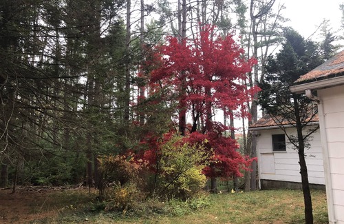 Forestburgh House | Quiet 4 Bedroom House with Lake Views on large field - perfect for family breaks