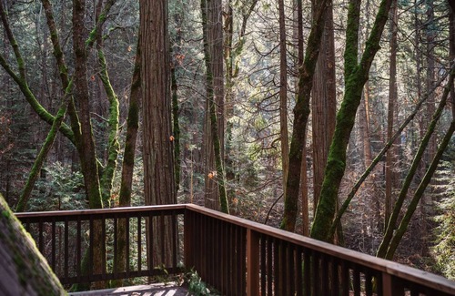 Sonora Cabin | Quiet A frame cabin in the Twain Harte woods