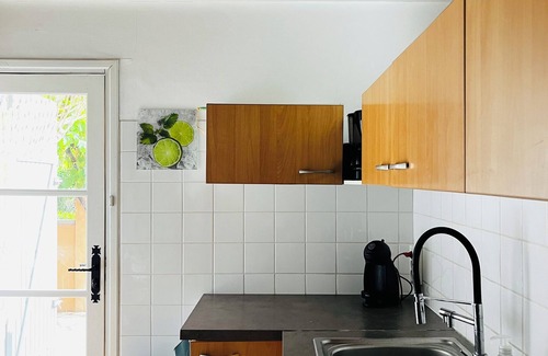 Carces House | Quiet and isolated house in the heart of the vineyards in Provence