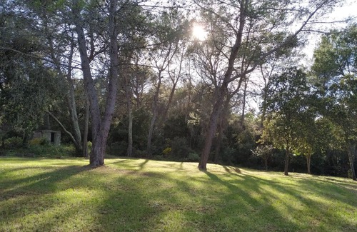 Carces House | Quiet and isolated house in the heart of the vineyards in Provence
