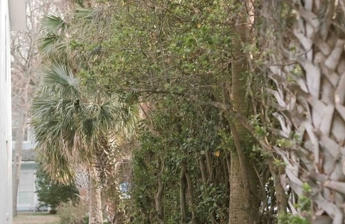 Neptune Beach Apartment | Quiet beach oasis, walk to the beach!