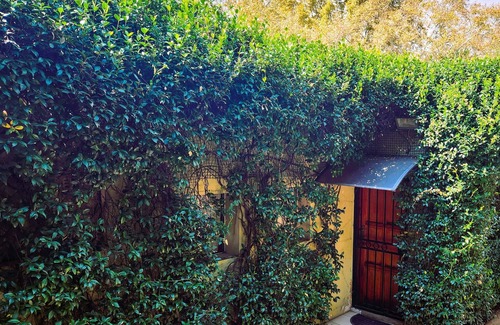 Greater Johannesburg Metropolitan Area Cottage | Quiet, bright & warm cottage near parks, shopping, nightlife and Zoo Lake!