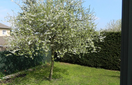 Ballancourt Cottage | Quiet cottage - in the countryside - downtown - close to Paris