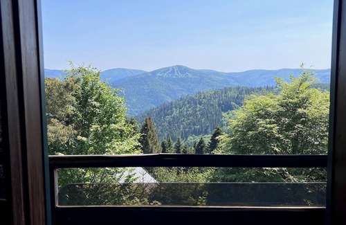 Muhlbach-sur-Munster Ski Chalet | Quiet cottage with panoramic view, Gaschney, Vosges, Colmar