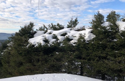 Muhlbach-sur-Munster Ski Chalet | Quiet cottage with panoramic view, Gaschney, Vosges, Colmar