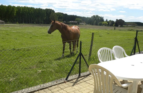 Rives House | Quiet cottage of the Perigord, 600 m away from the Villereal fortified village