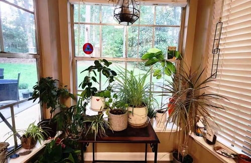 Tallahassee House | Quiet, cozy home with convenient access to all of Tallahassee!