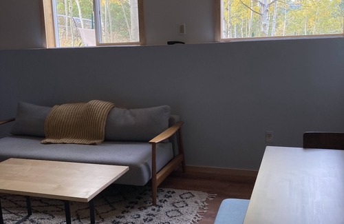 Nederland Apartment | Quiet, cozy nestled in the trees. Sunny, views, hikes. Ski nearby!