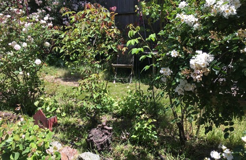 Lone Mountain Apartment | Quiet Garden Apt., geographic center of The City