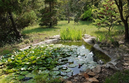 Cotignac House | Quiet house surrounded by nature ideal for family and relax