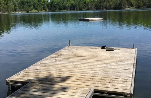 Faraday Cabin | Quiet lakefront cottage 15 mins from Bancroft