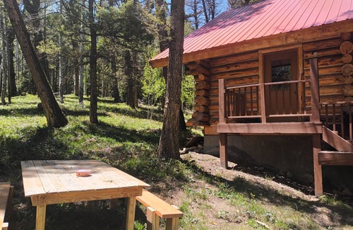 Cimarron Cabin | Quiet Retreat in Aspen Grove