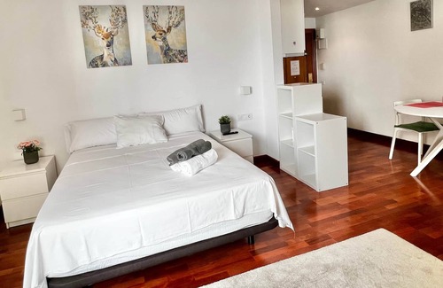 Palacio Apartment | Quiet studio on GRAN VIA.