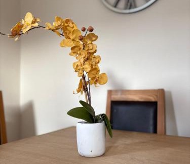 Swindon House | Quiet Yellow Rest House Sleeps 5