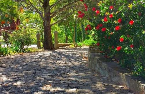 Baiao Bed & Breakfast | Quinta da Ermida - Turismo de Habitacao