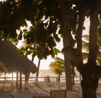 Tolu Hotel | Quinta del Mar La Joya