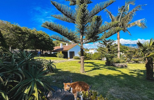 Livramento Villa | Quinta do Ananás Pineapple Farm