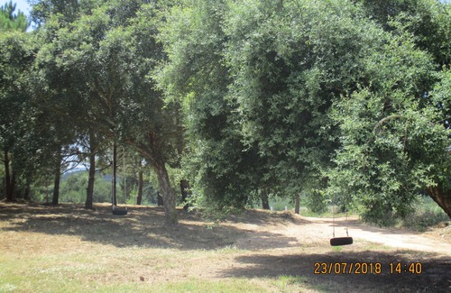 Alcobaca House | Quinta do Caracol- Fully equipped. Ideal for relaxation and fun.