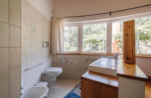 Pedrogao Grande House | Quinta dos Sarilhos