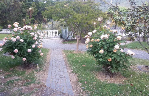 Guarda Bed & Breakfast | Quinta dos Sinçais - The best air that you can breath in Portugal - Quarto IV