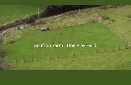 Bryn-crug House | Quirky Cabin with On Site Dog Field