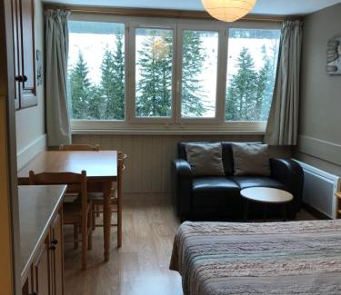 Laveissiere Apartment | RÉSID BEC DE L AIGLE Studio 22 - LE LIORAN