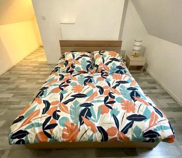 Valenciennes Apartment | Résidence Duchenois