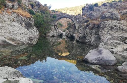 Asco Bed & Breakfast | Résidence E CIME ASCO Locations de studios meublés