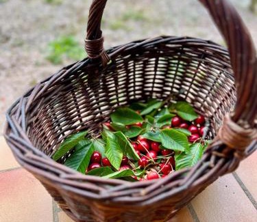 Castelnau-Magnoac Hotel | Résidence Hôtelière du Magnoac