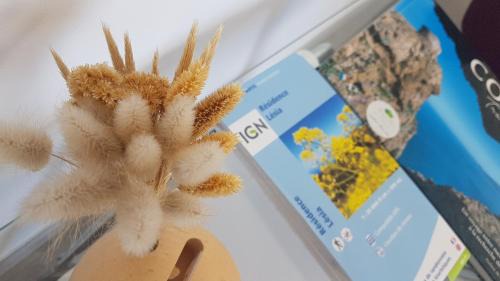 Corbara Apartment | Résidence Lésia