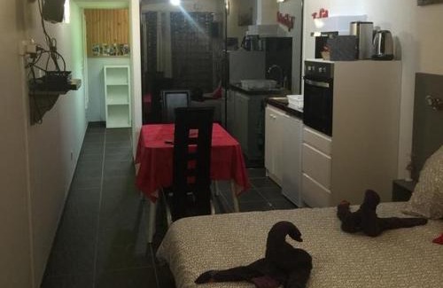 La Roche-sur-Yon Apartment | Résidence Les Alizés 'JACCUZI SAUNA PISCINE en plein centre ville"