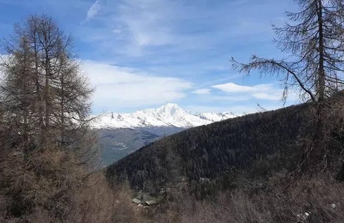 Plagne 1800 Apartment | Résidence Plagne Lauze - maeva Home - Comfort 1 bedroom apartment (5 people)