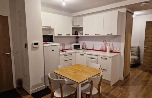 Les Claux Apartment | Résidence Varsea - Studio récent 3 lits avec balcon sud MAE-0021