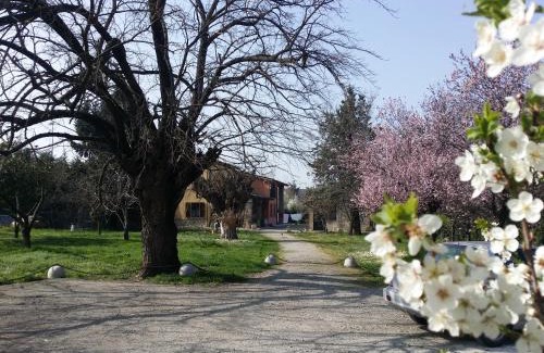 Scarzara Bed & Breakfast | R&B Albero Cavo Parma